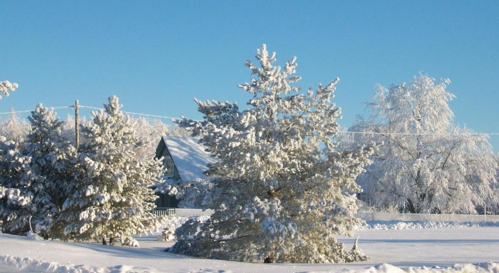 Kelluka Holiday House Parispea Екстер'єр фото